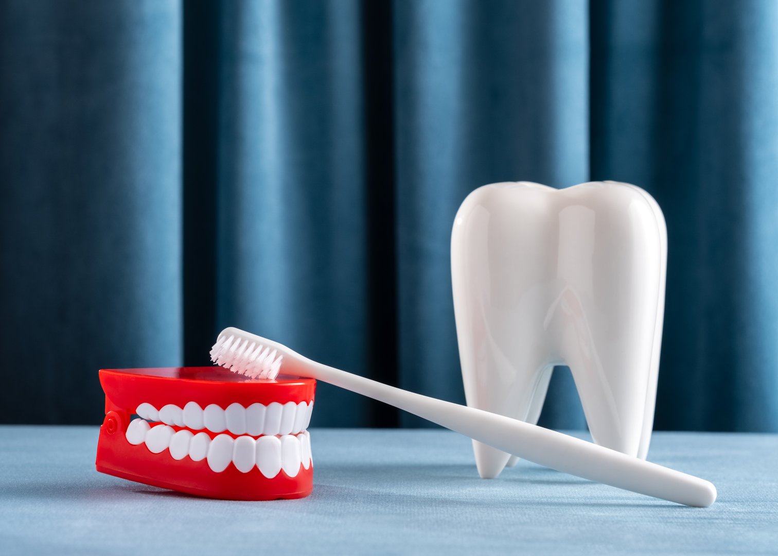 Still life with teeth, jaw and toothbrush on blue velvet curtains background