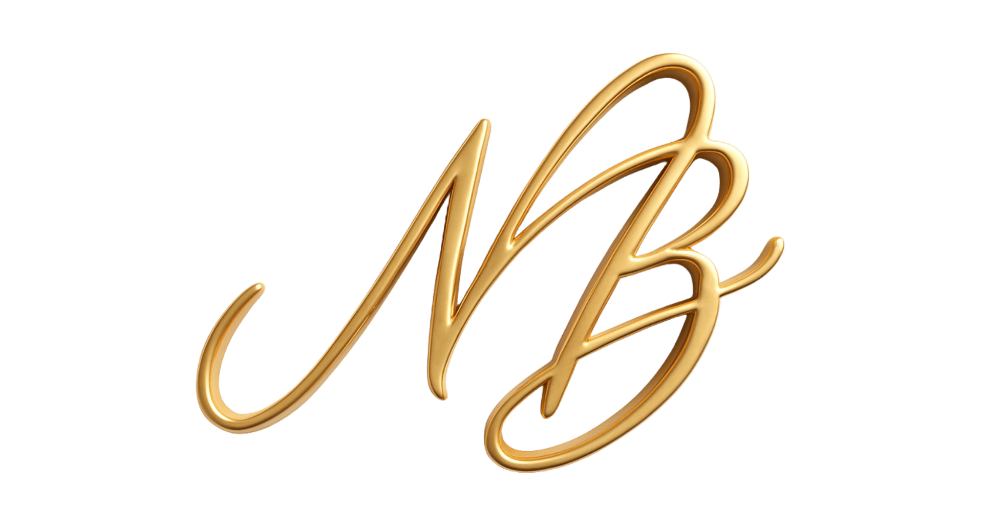 Nico Bradley Logo Abbreviated