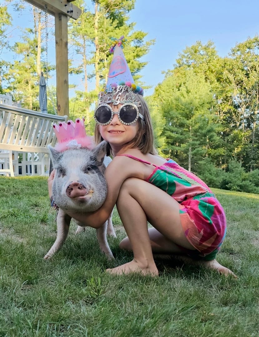 Birthday party celebration with pigs