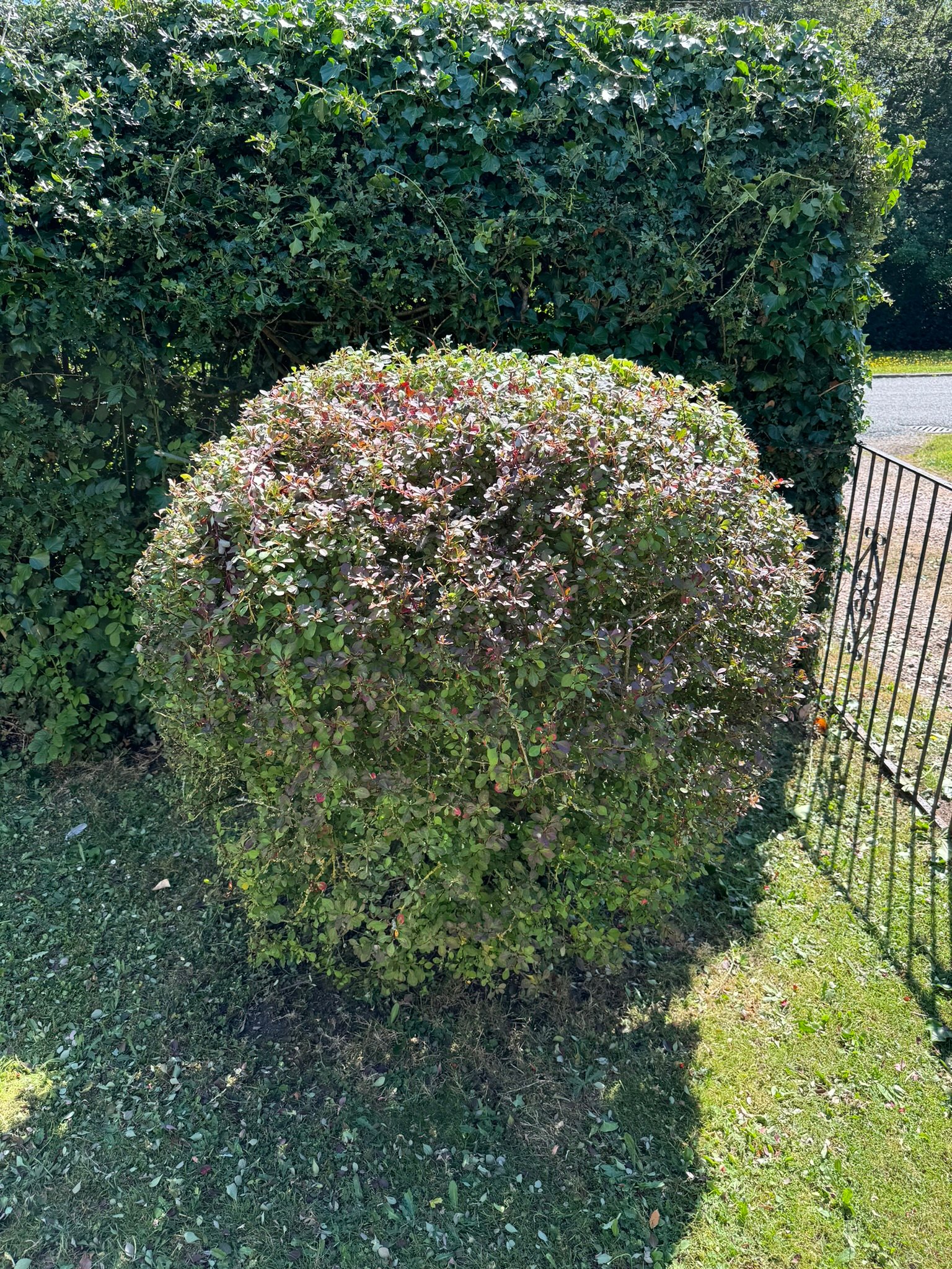 two
