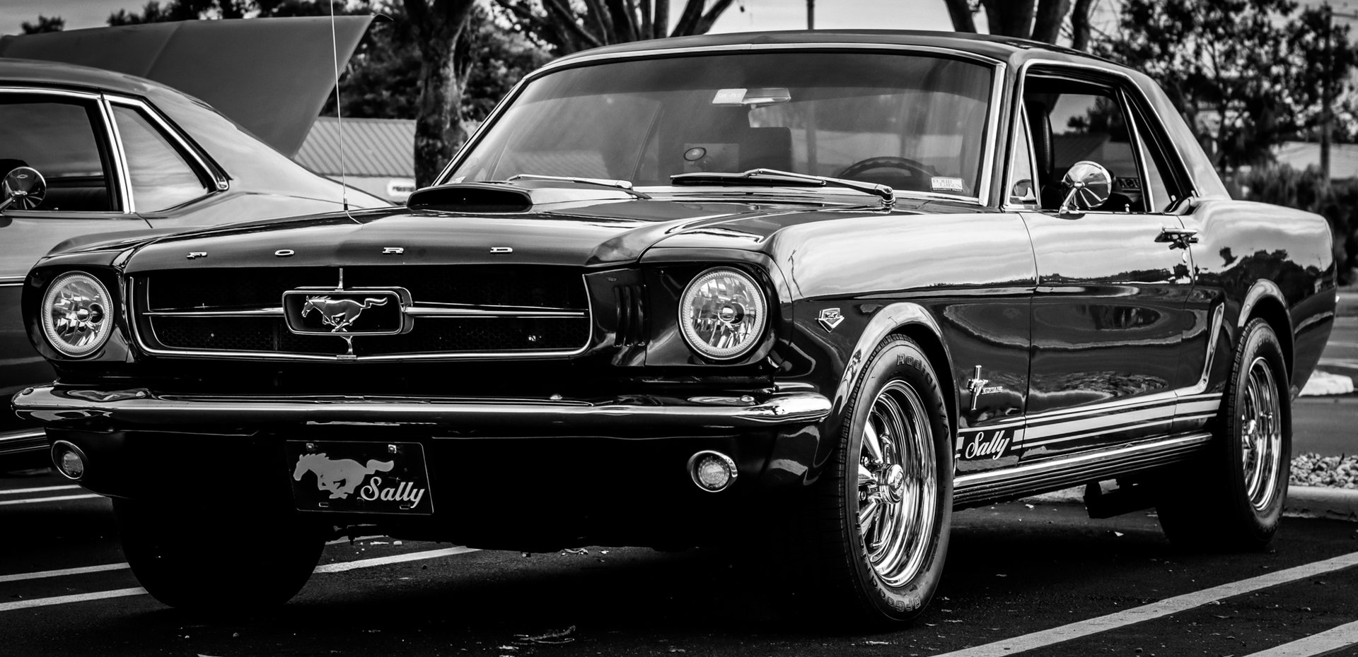 Professional photography portfolio Polk County