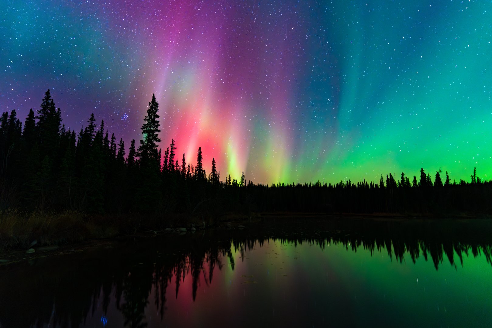 Colorful Aurora Borealis, Northern Lights, at Yellowknife, Northwest Territories, Canada