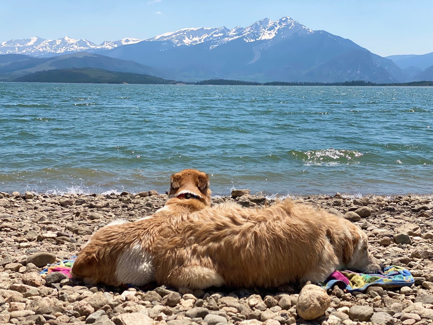 Background image for team section