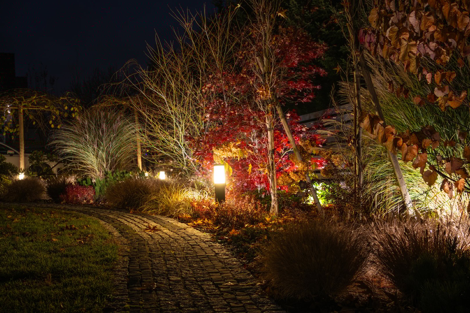 A winding garden path features soft lighting, highlighting vibrant autumn leaves in reds and golds under the night sky, creating a tranquil atmosphere.