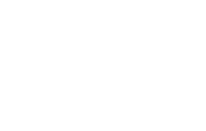 Stromgenie Logo