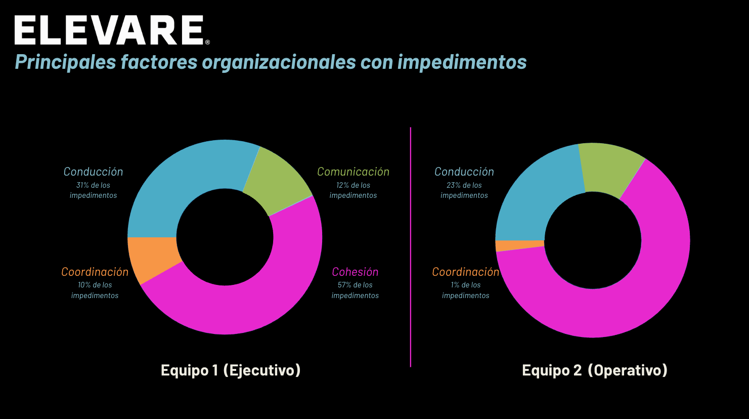 Resumen Ejecutivo - Página 2