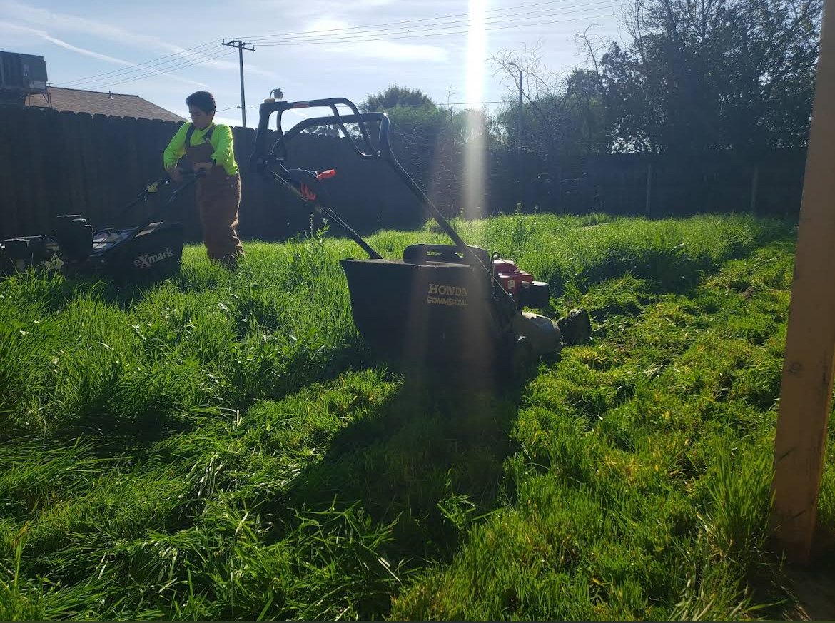 Lawn care project by Sharp Edge Lawn Services