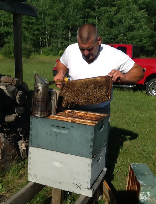 Bob working with beehives