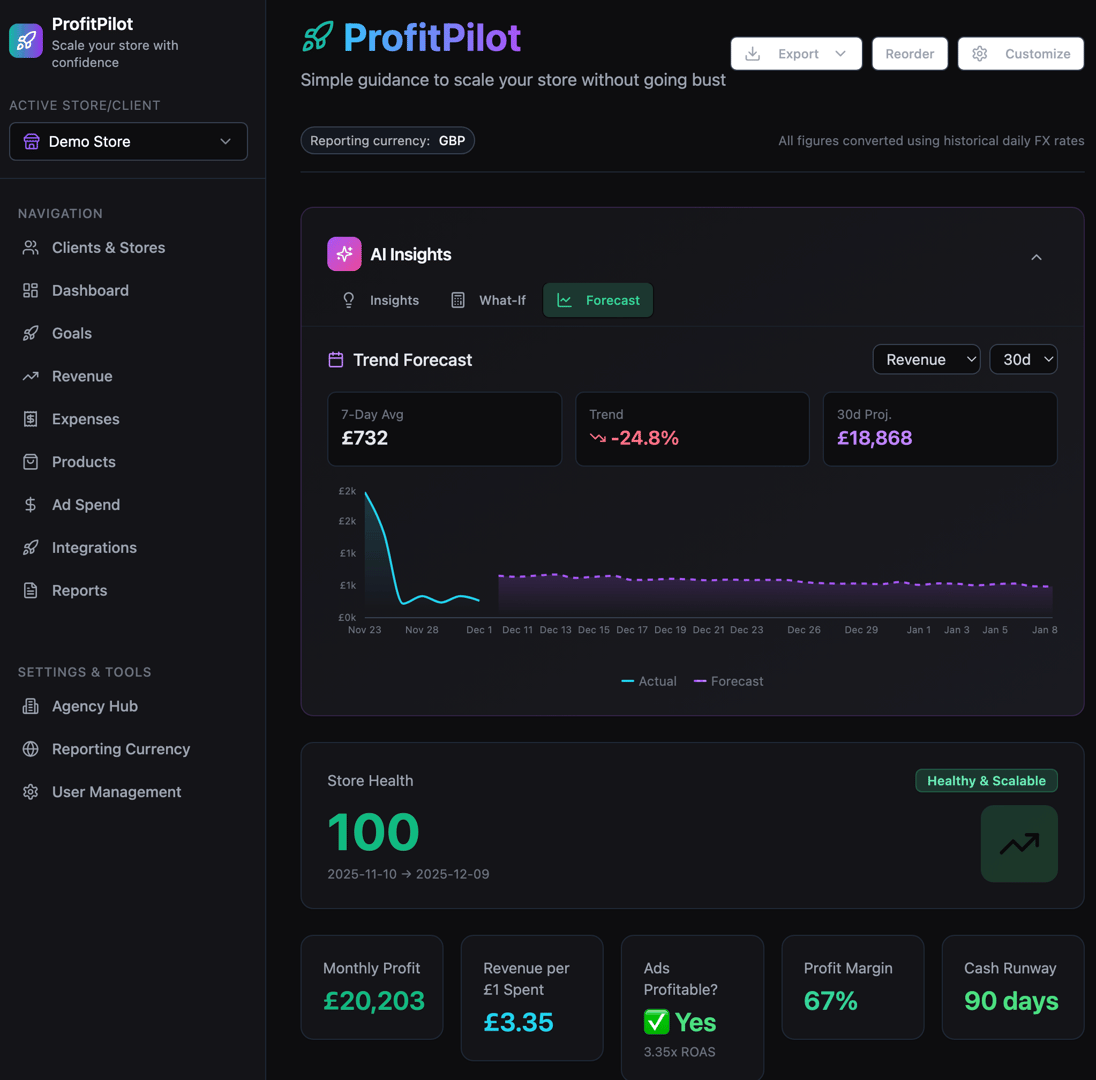 ProfitPilot Dashboard Overview showing revenue, expenses, net profit, and profit margins