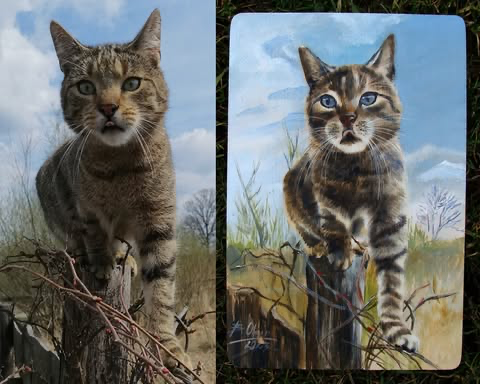 Zrealizowane zamówienie 5