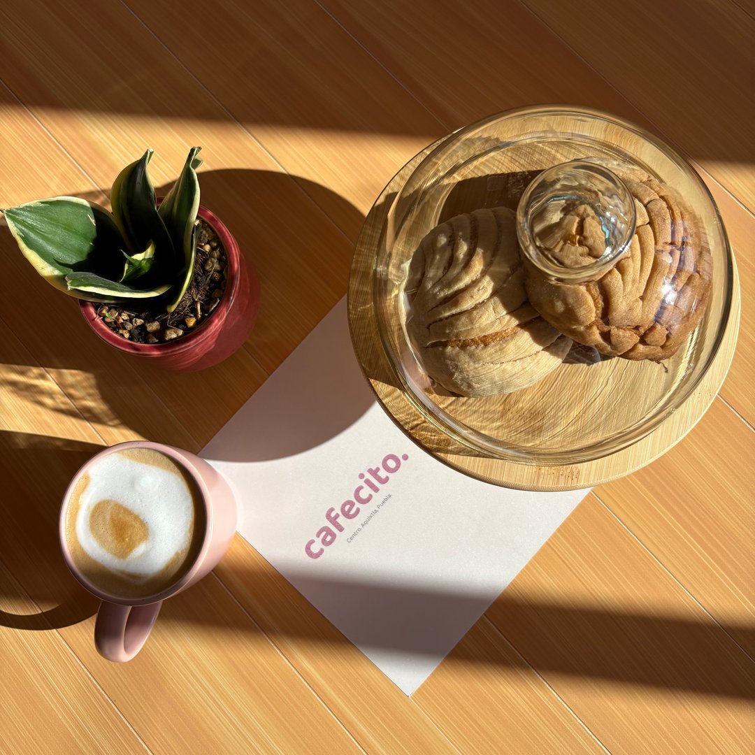 Sunlit café table with a potted plant, latte in a pink cup, and pastries under a glass dome on a wood surface.