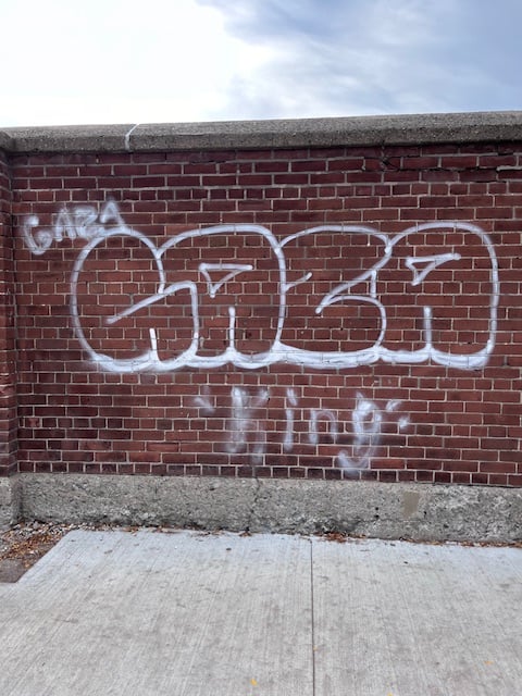 Before graffiti removal