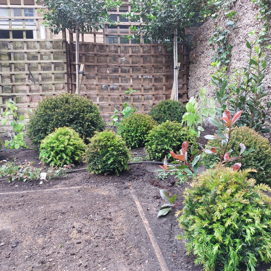 Garden project