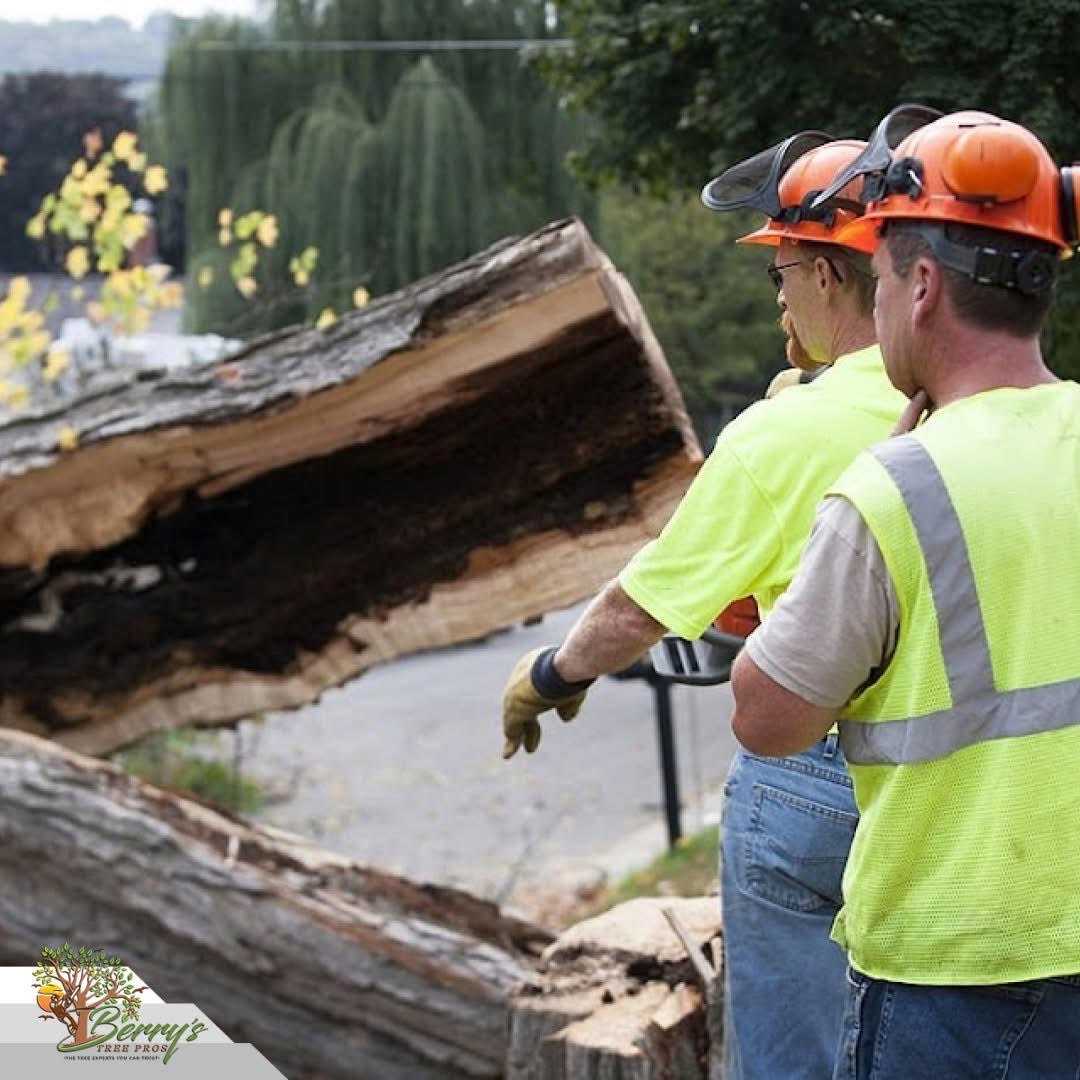 Berry and his professional tree removal crew team photo