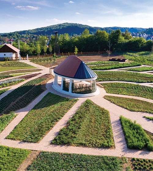 Gyuri Bácsi Gyógynövénykert