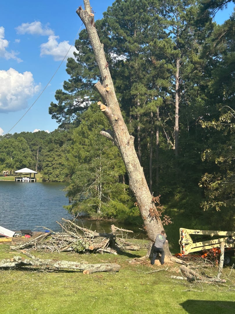 Berry's Tree Pro heavy equipment and tree removal