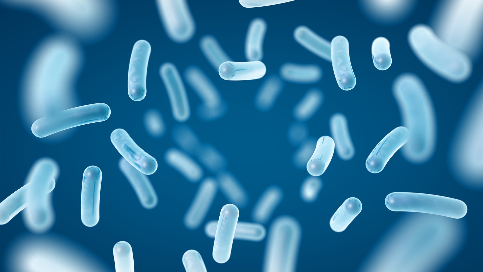 Probiotics. Restoring the gut flora. Blue color. Lactobacillus. 3d illustration.