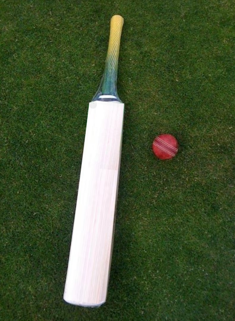 Bat and ball in garden