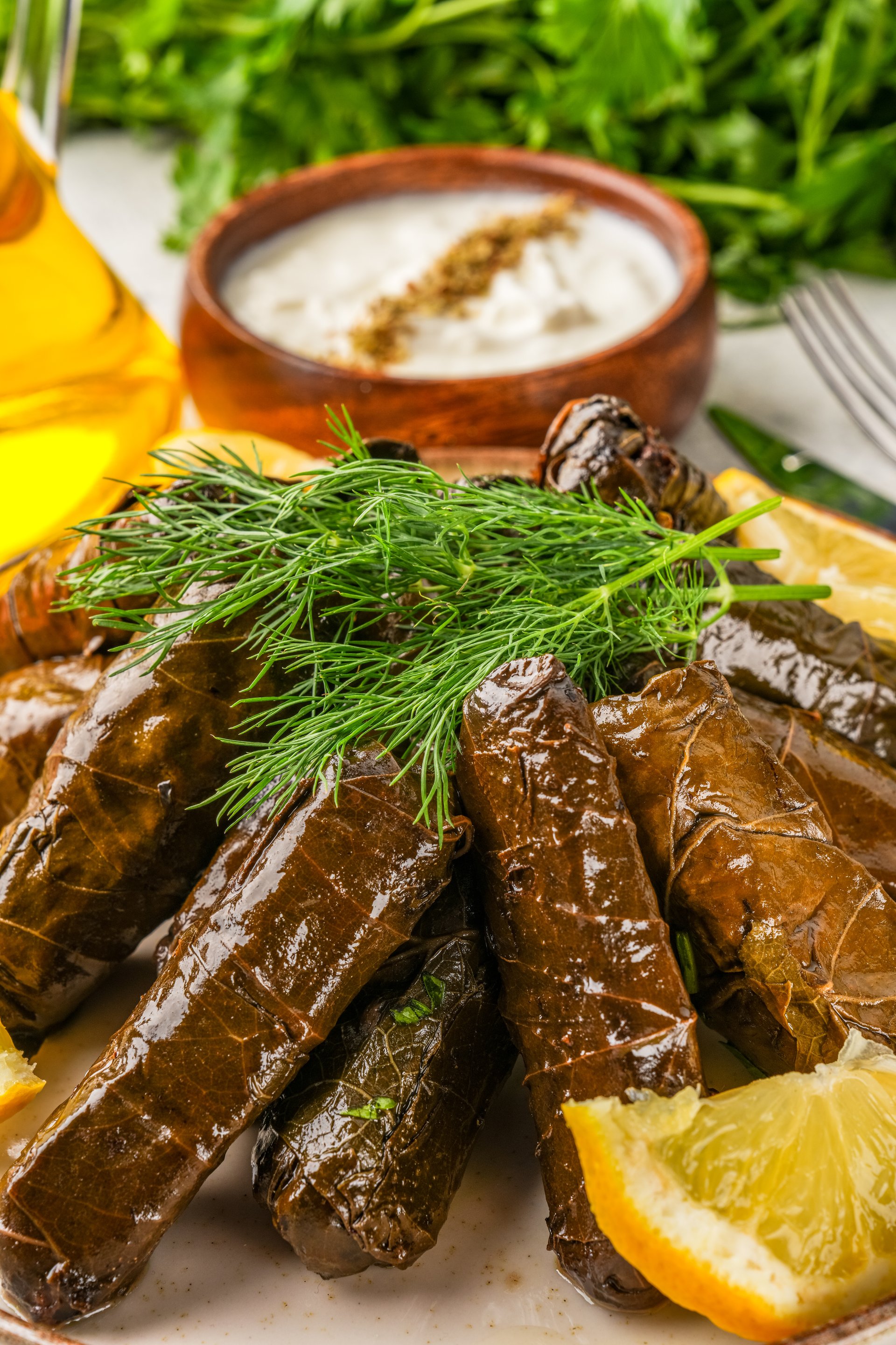 Delicious Turkish dish, stuffed grape leaves, on a stone table
