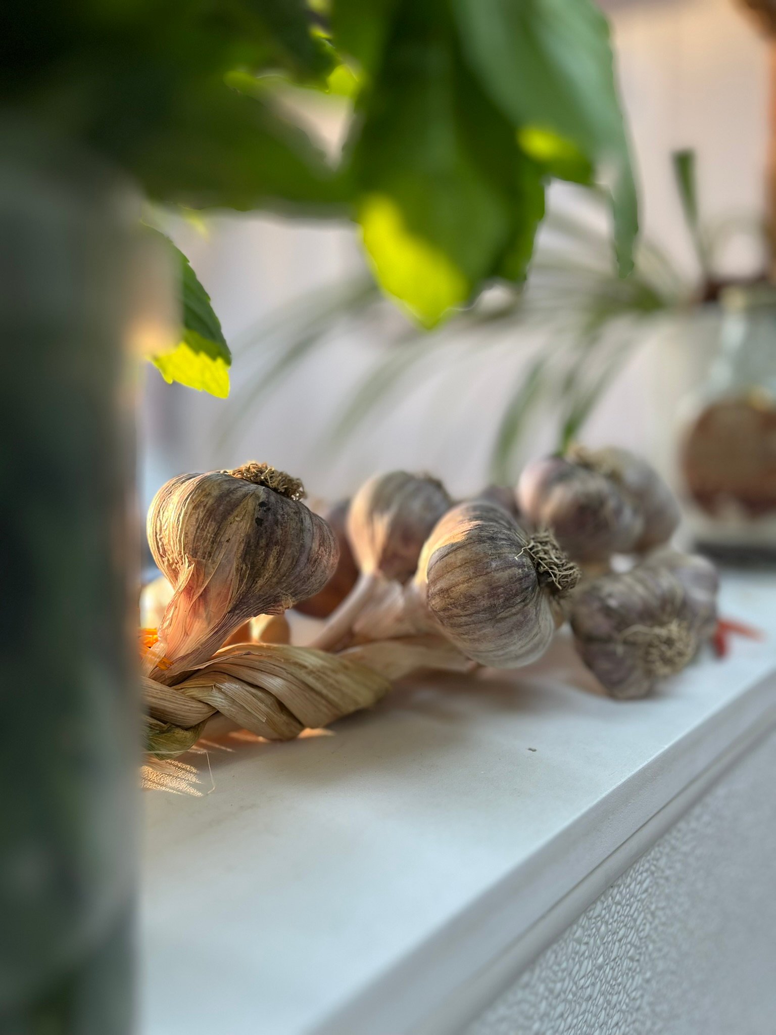 Ember Custom Foods meal pickup