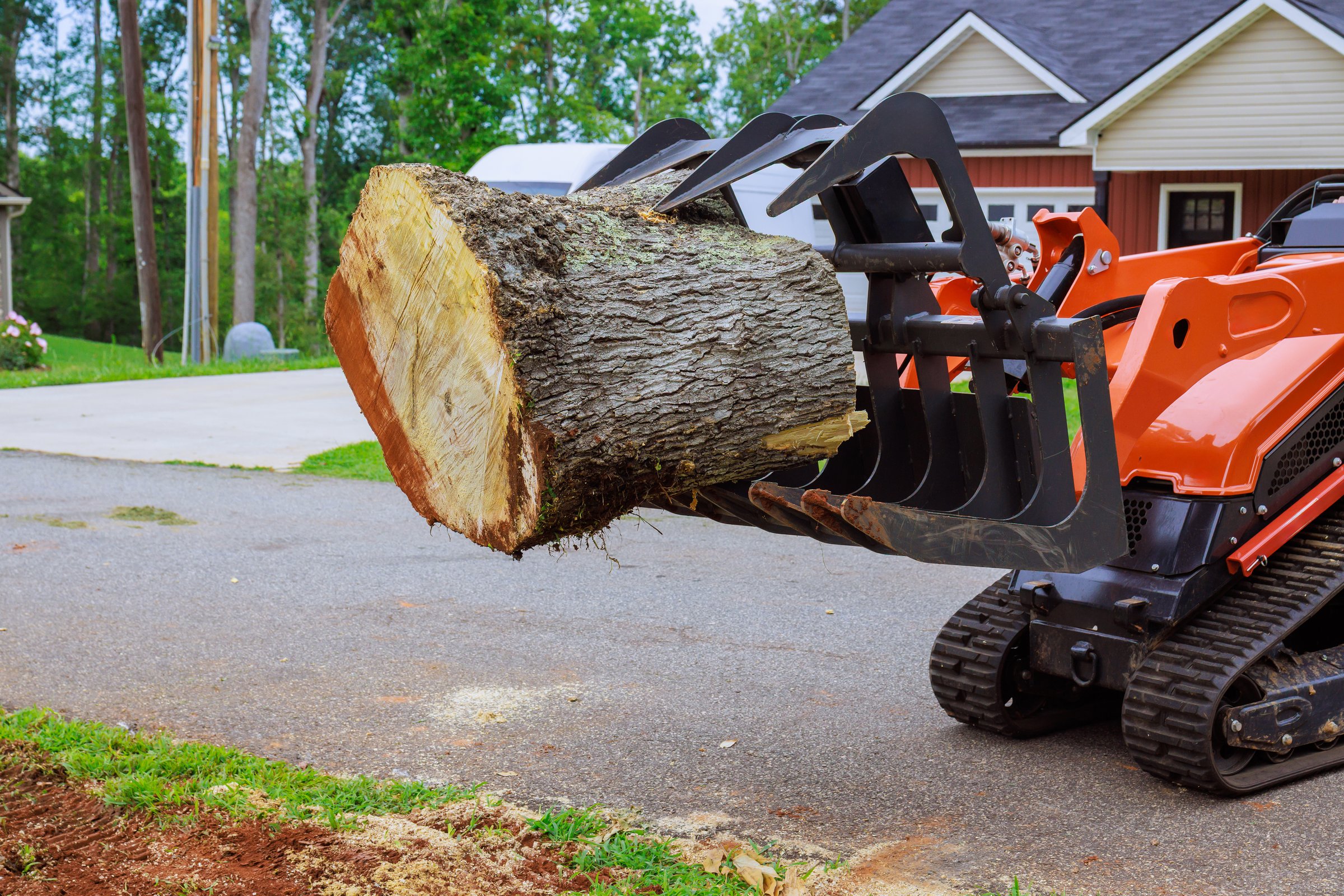 Strong piece of skid steer machinery grips thick log, ready for removal from yard, enhancing landscape after hurricane