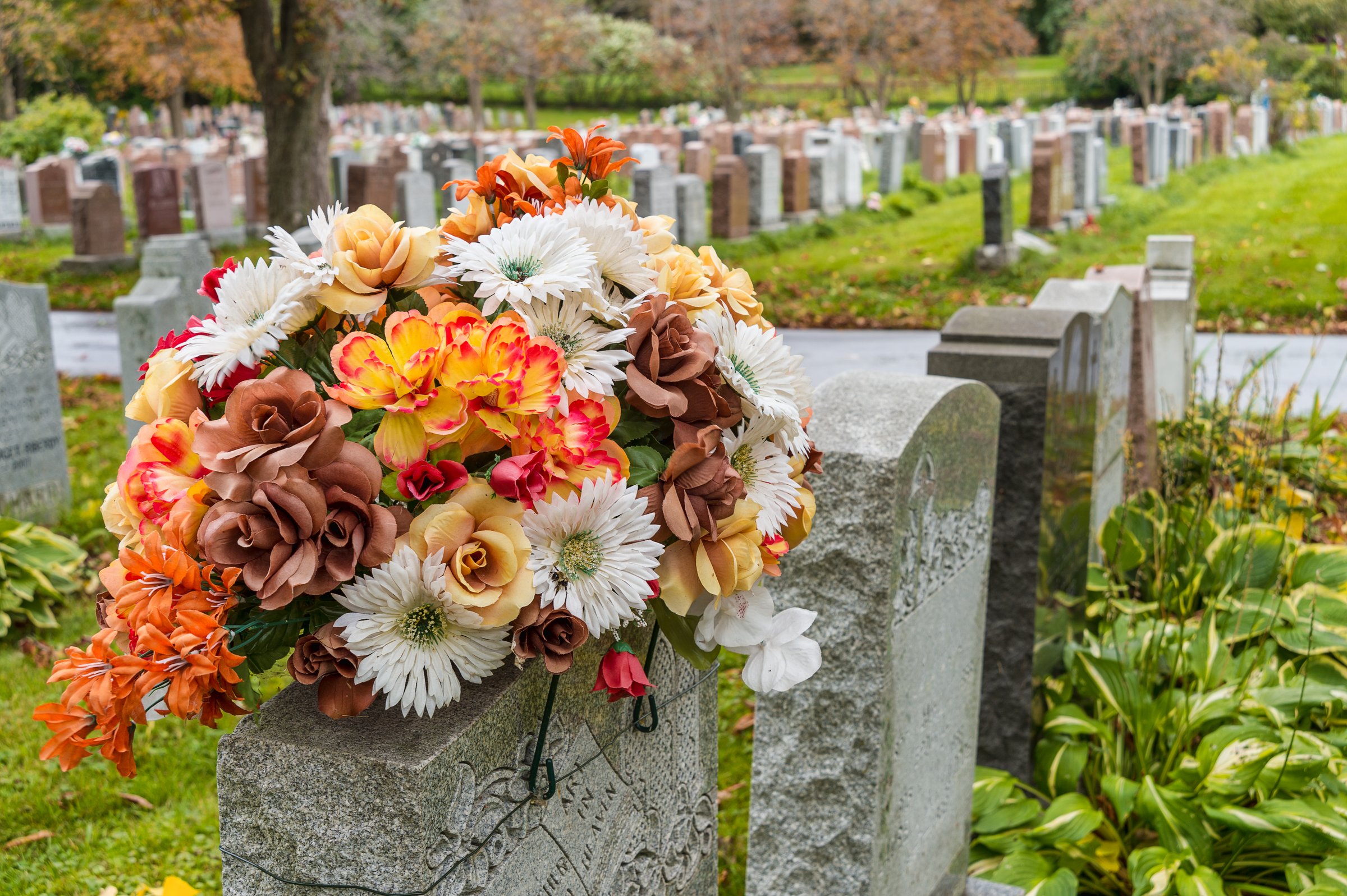 Flowers on a tombstone in a cemetary with hundreds of tombstones in the background