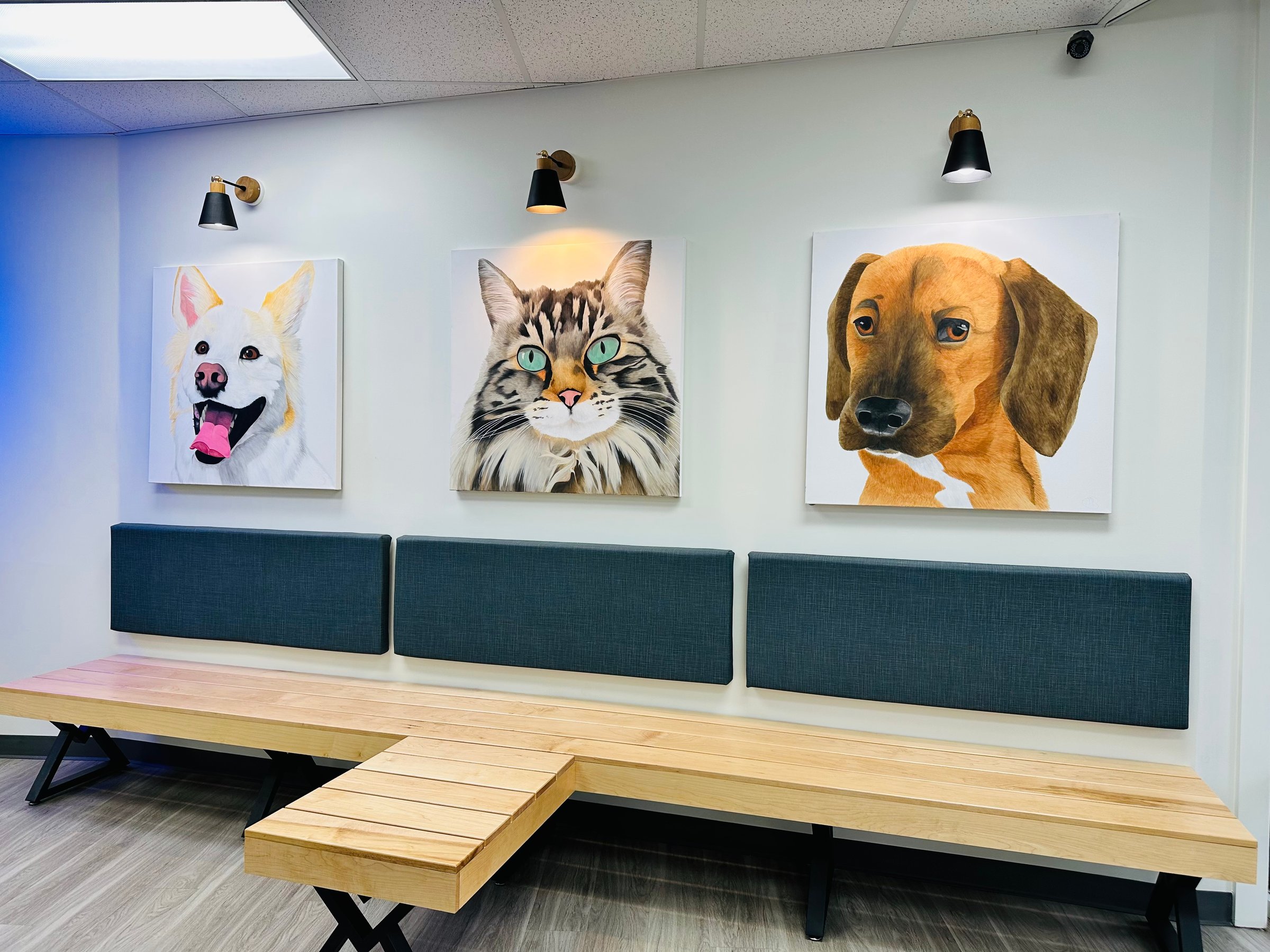 A waiting area with bench seating, featuring large portraits of a dog, a cat, and another dog on the wall above.