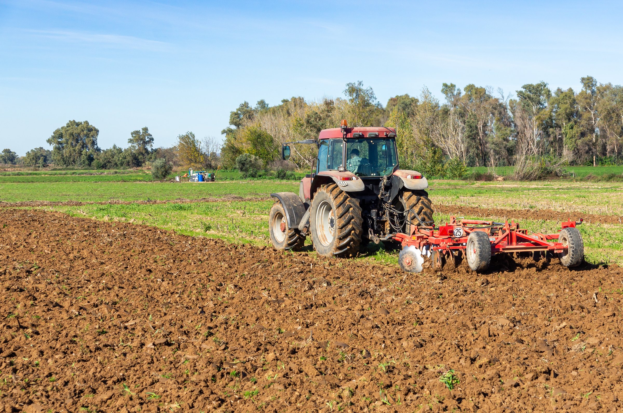 Autumnal chores: farmer with tractor plowing under the radiant blue sun.