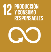 UN Goal 12 icon: "Producción y Consumo Responsables" with white infinity symbol on a gold background.
