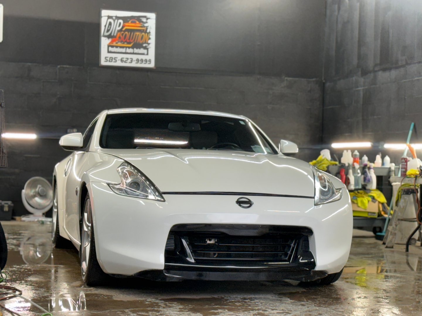 Exterior paint protection