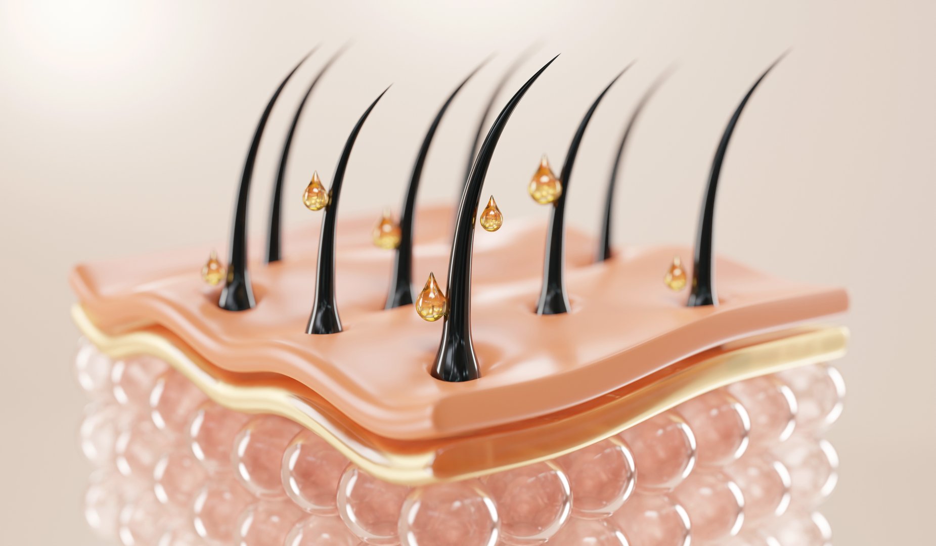 Human Hair, Hair, Three Dimensional, Beauty, Hair Follicle