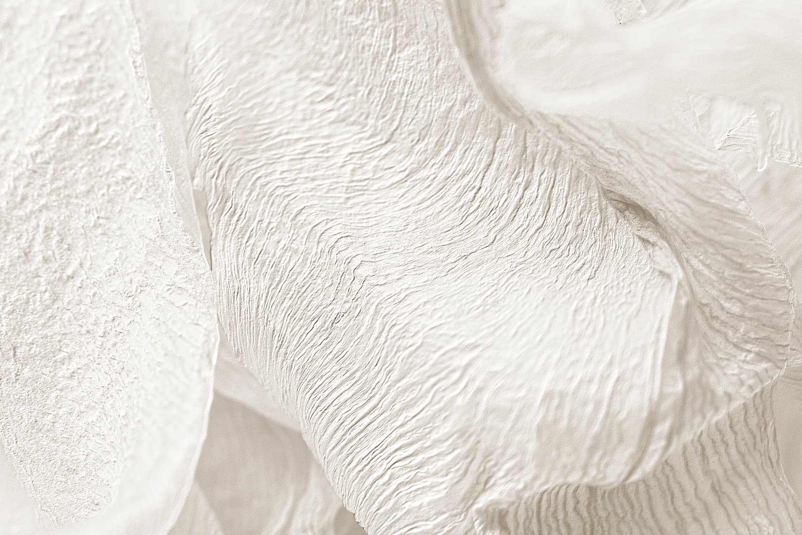 Dried lily leaf textured background