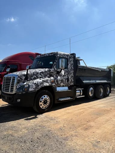 Professional automotive protection service