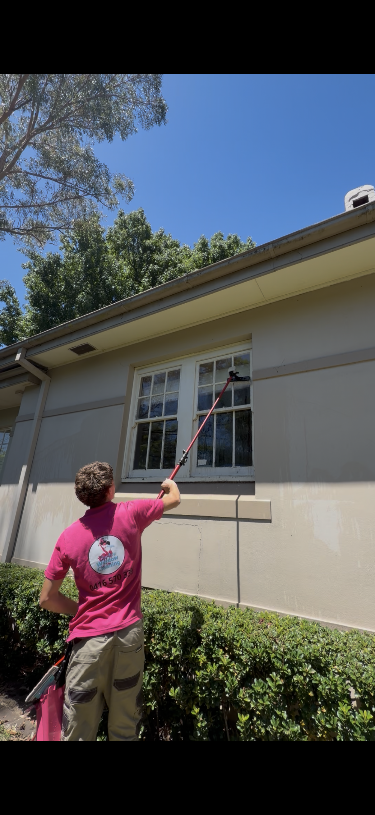 Flamingo Window Cleaning service photo