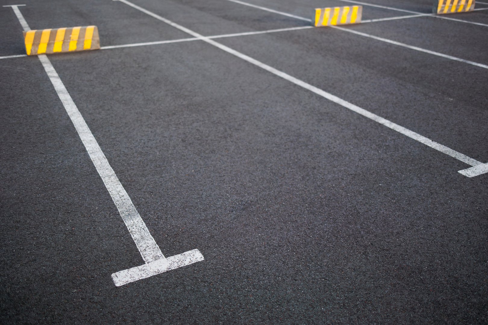 Empty Parking Lot with Fresh White Markings on Asphalt Surface
