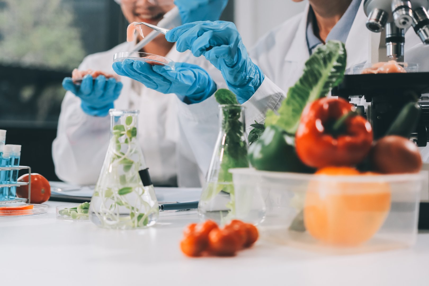 Chemical Laboratory of the Food supply . Food in laboratory, dna modify .GMO Genetically modified food in lab