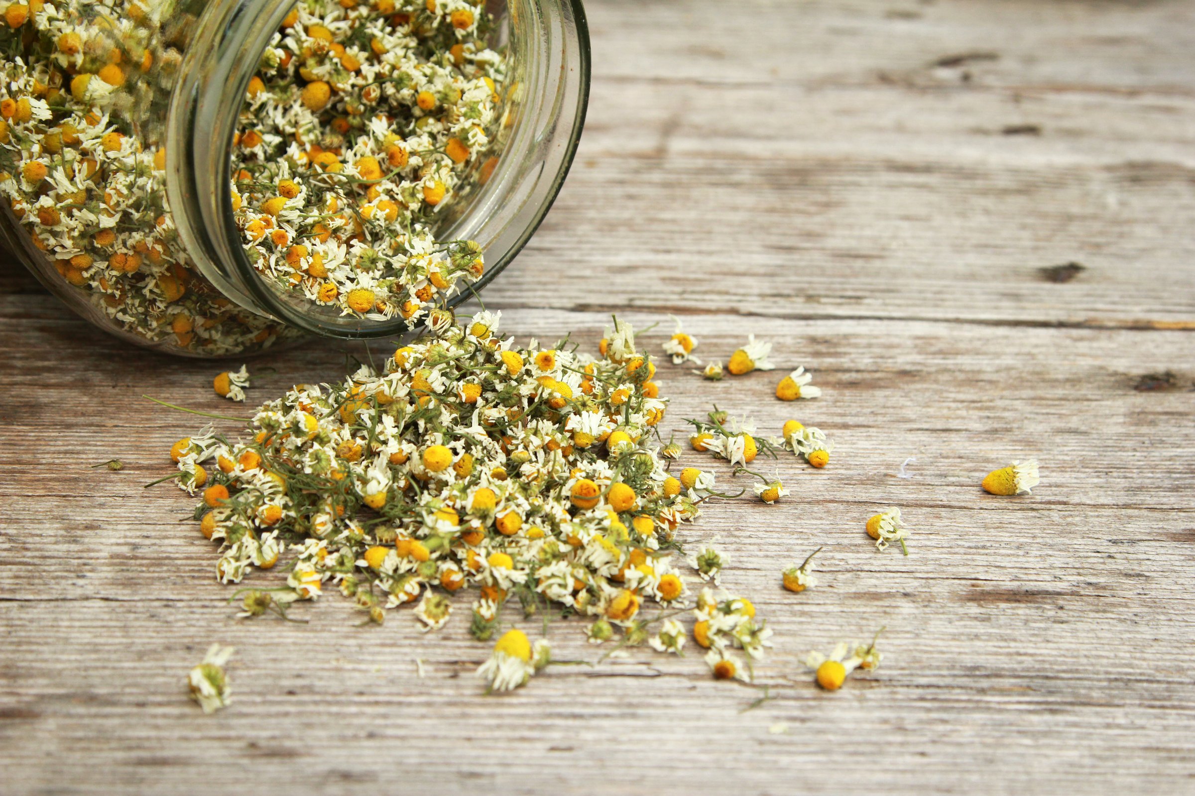 Chamomile tea in the jar on the wooden table.