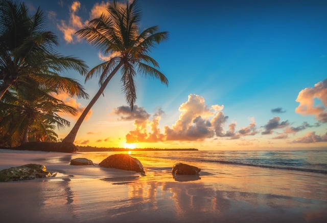 Sunset over a tropical beach with palm trees, rocks, and the ocean reflecting vibrant colors in the sky.
