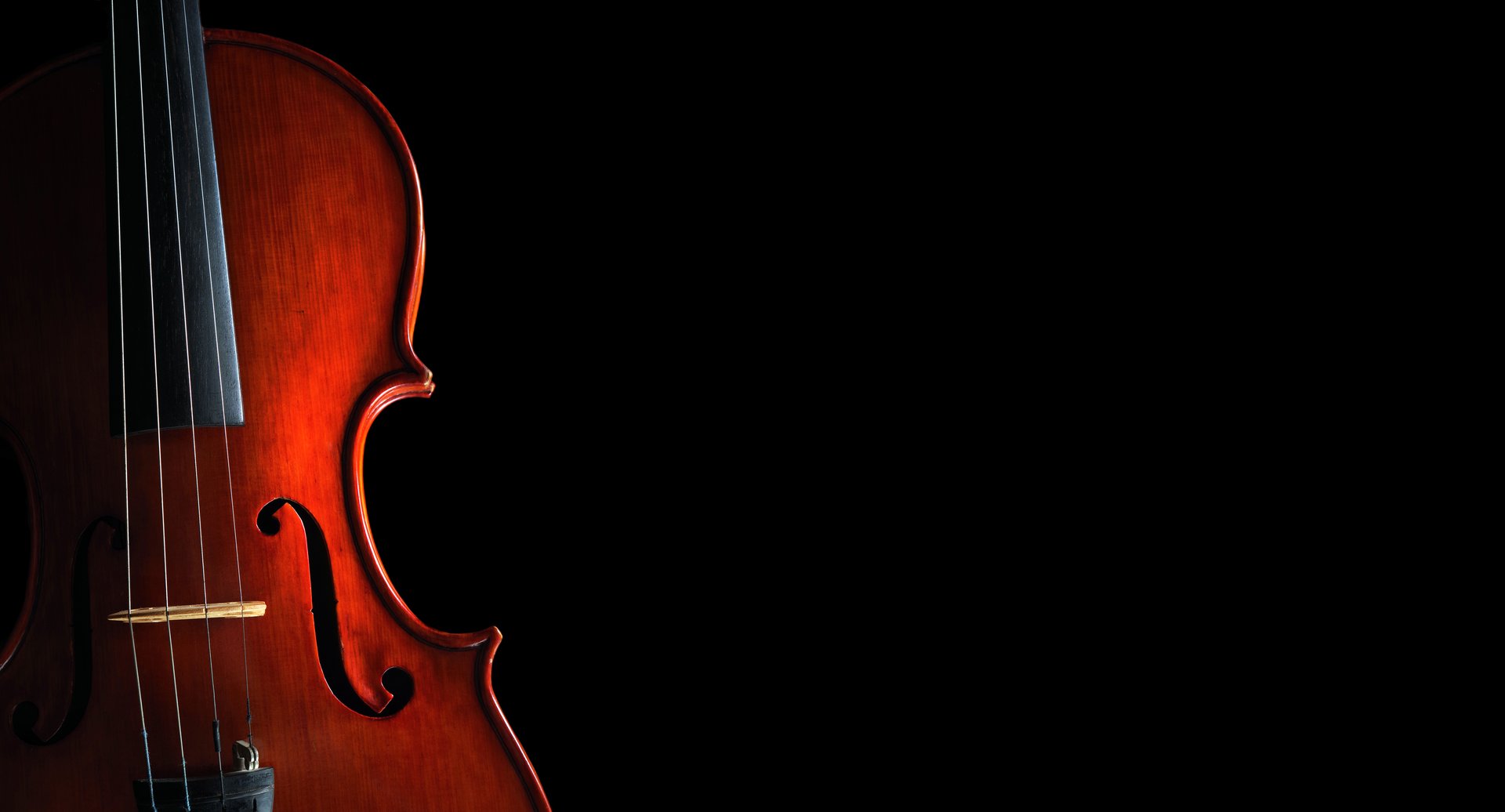 Beautiful violin close-up on black background