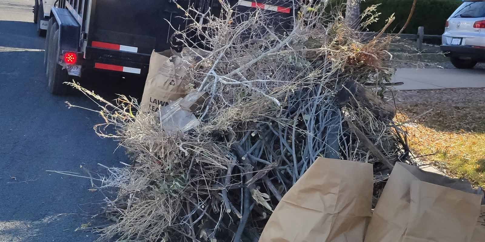 Yard debris clean up pile