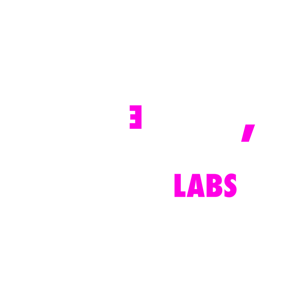 Flippin' Labs