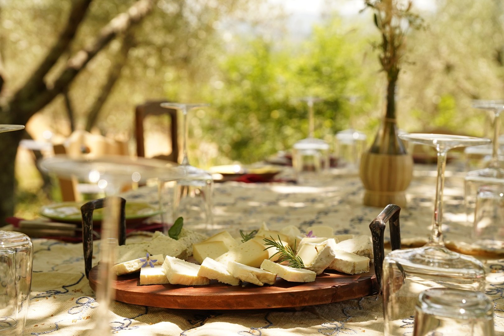 Italian table setting prepared for a sheep's milk cheese and wine tasting in a winery next to Greve in Chianti (Tuscany)