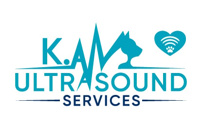 KA Ultrasound Services Logo