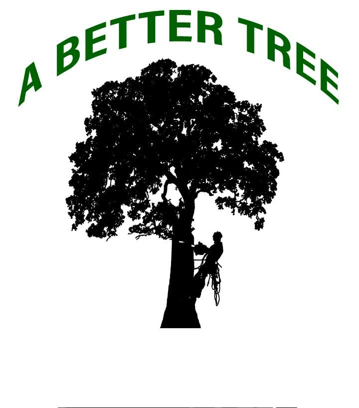 A Better Tree Florida