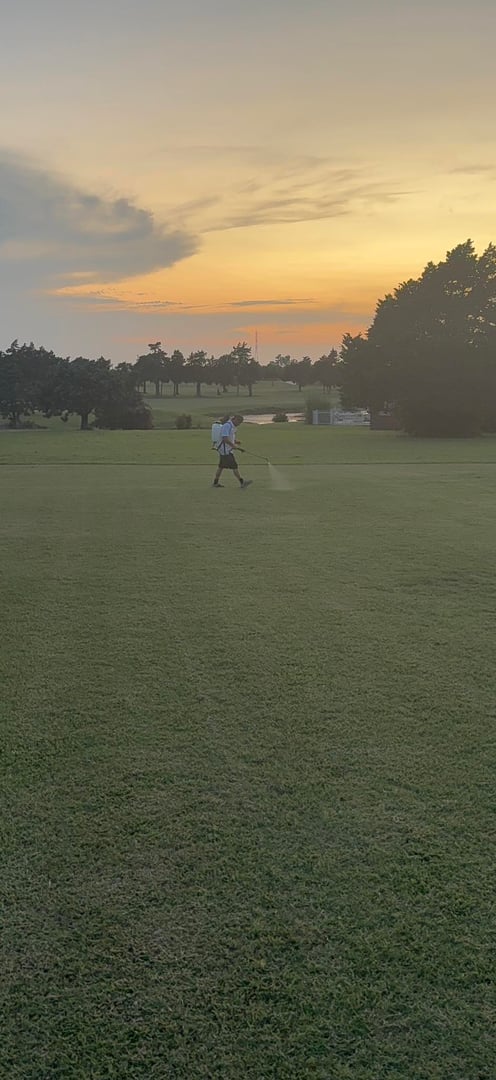 Full-Service Lawn Care