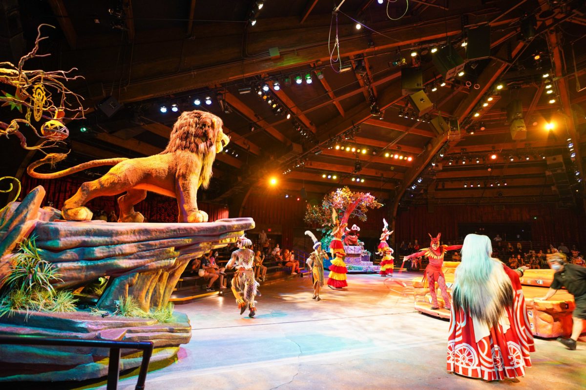 Animal Kingdom experience