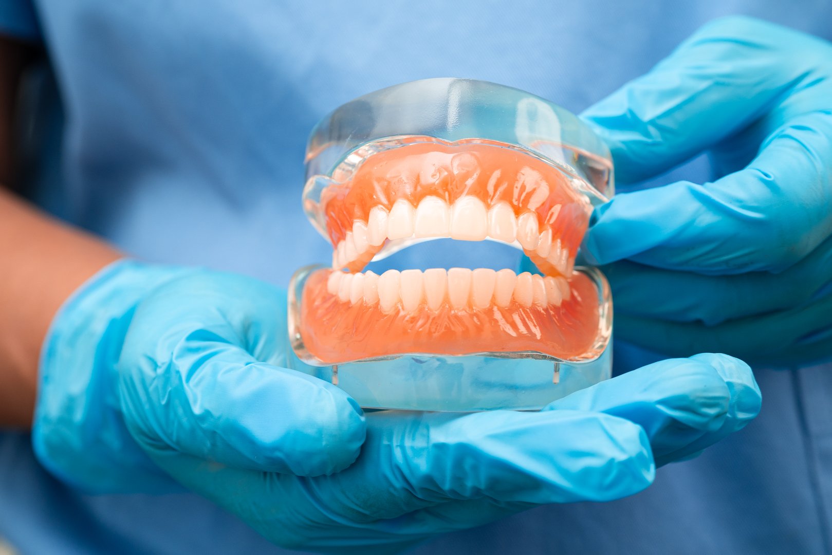 Asian dentist holding dental teeth model for learn about dentistry