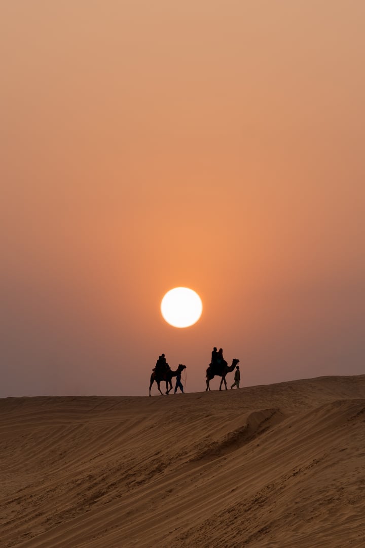 Silhouette of camels in the desert with people at sunset