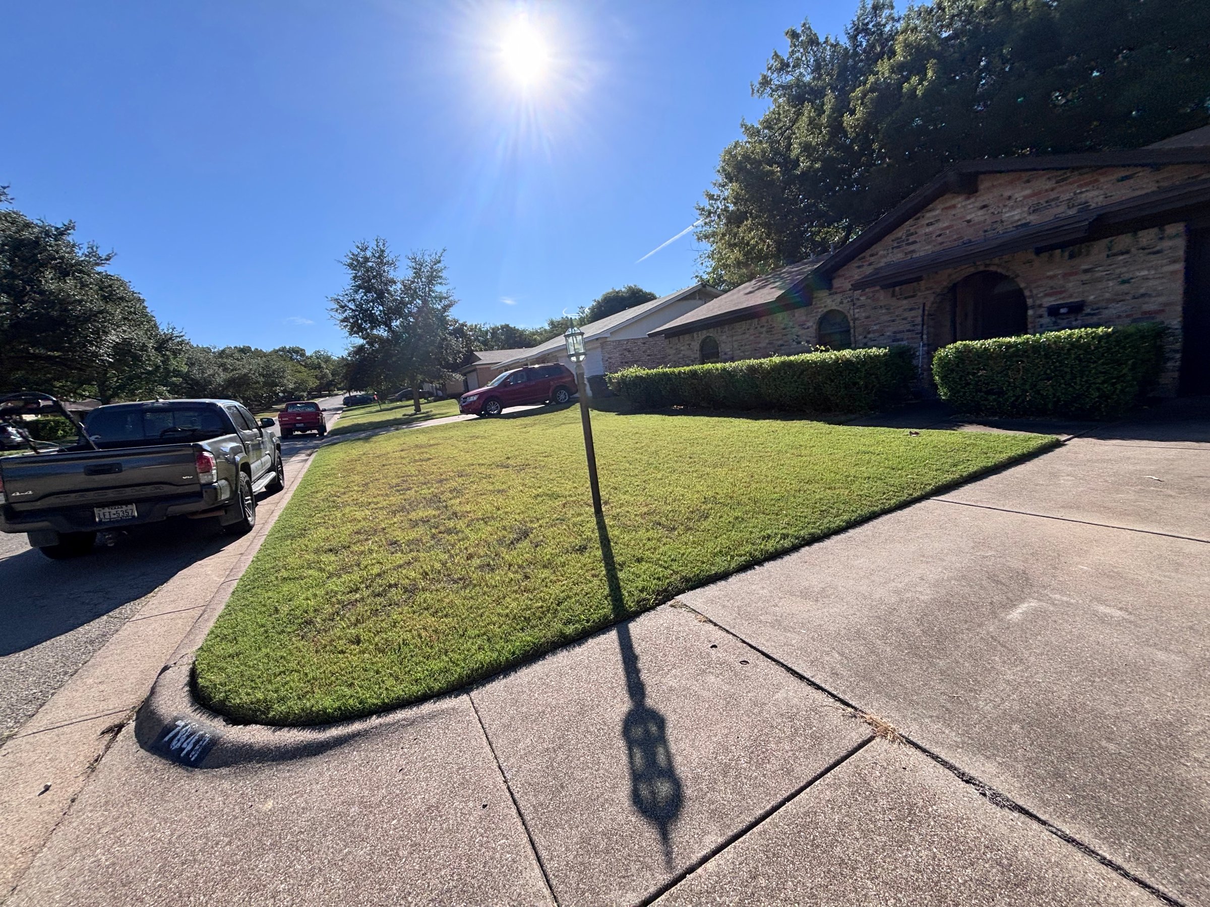 Professional exterior cleaning and maintenance