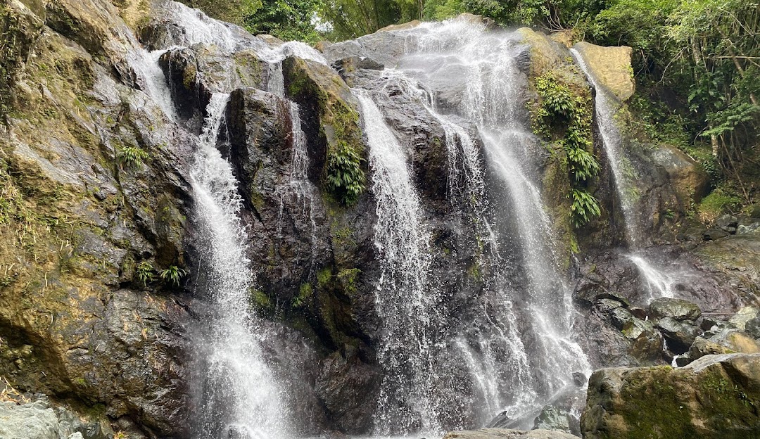 Selah Marketing and Design